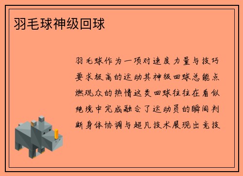 羽毛球神级回球